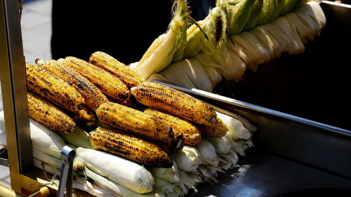 Charcoal-roasted bhutta masala 