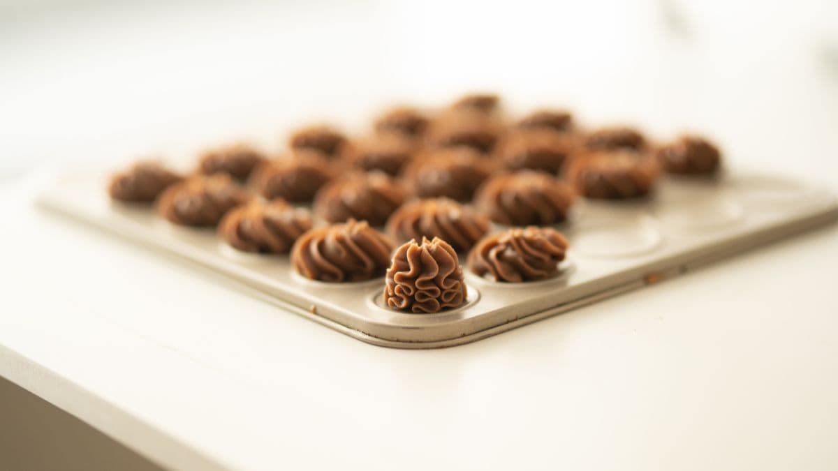 Chocolate meringue kisses.