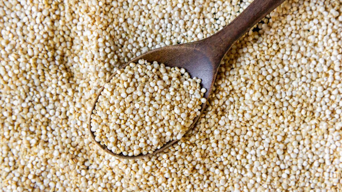 Quinoa grains with wooden spoon