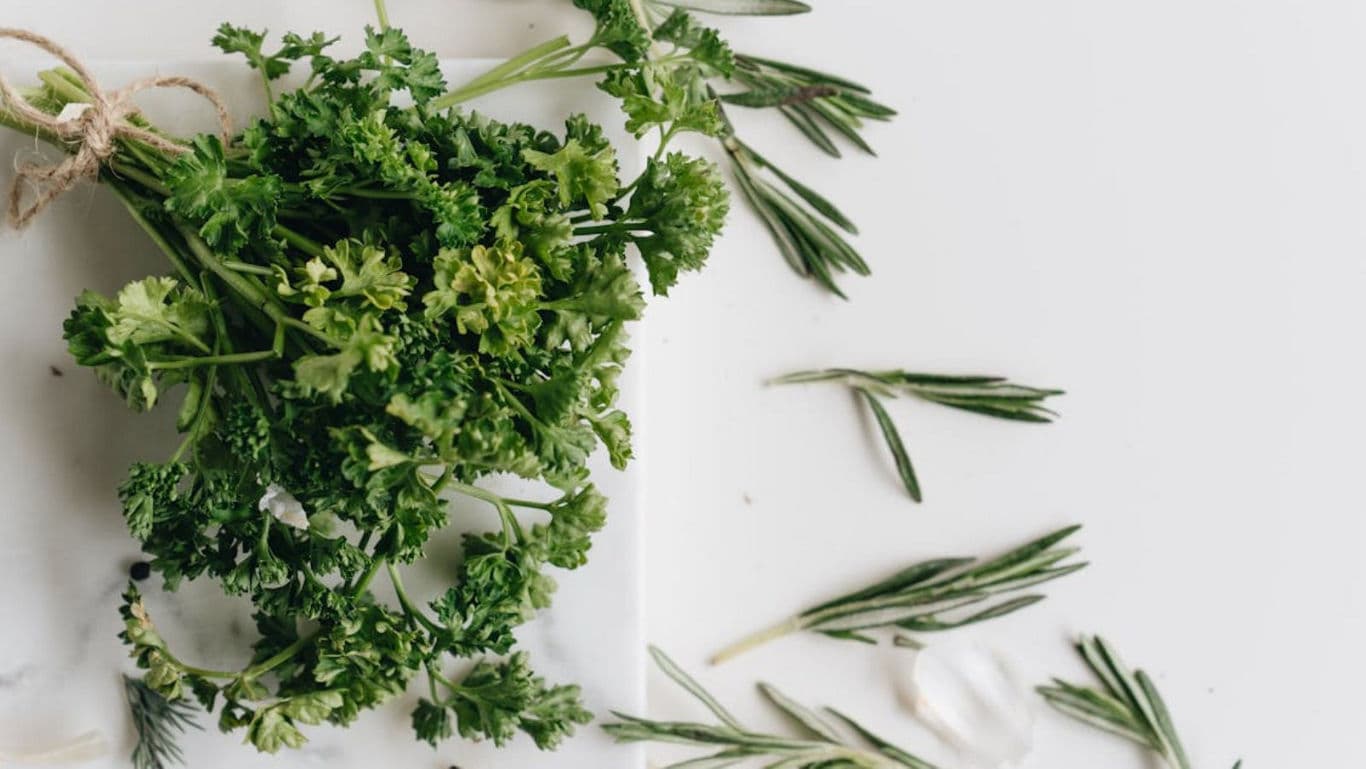 Fresh parsley and rosemary herbs on white surface