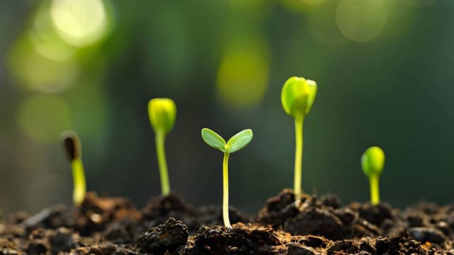 easy-spring-vegetables-you-can-grow-at-home-in-a-balcony-garden-thumbnail