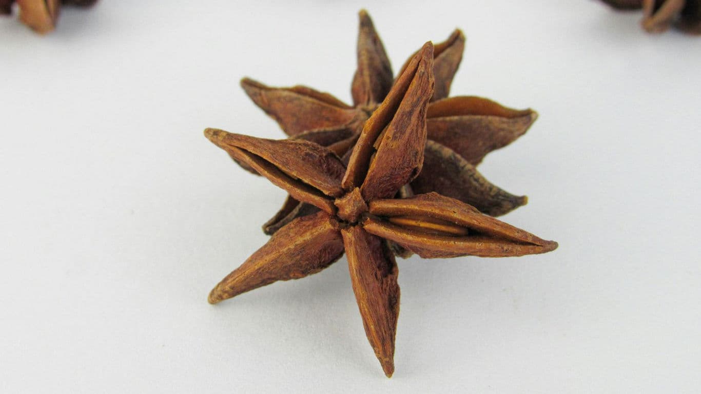 Dried star anise spice on white background