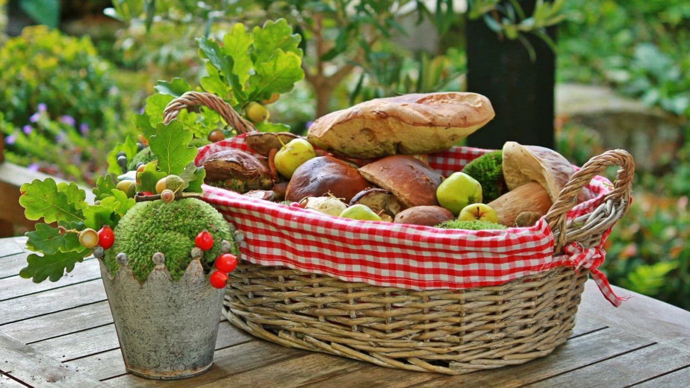 Rustic basket of mushrooms and apples outdoors