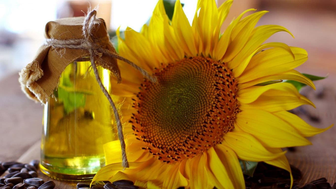 Sunflower and Glass Bottle of Sunflower Oil