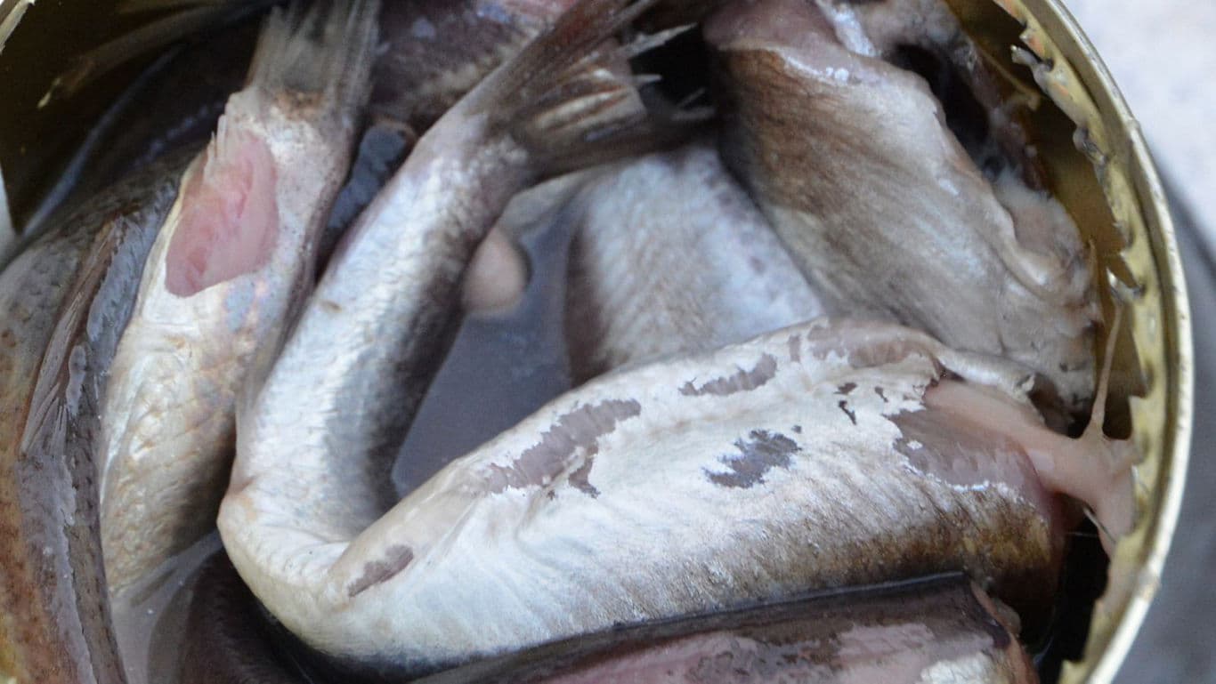 Close-up of Preserved Fish in Open Tin Can