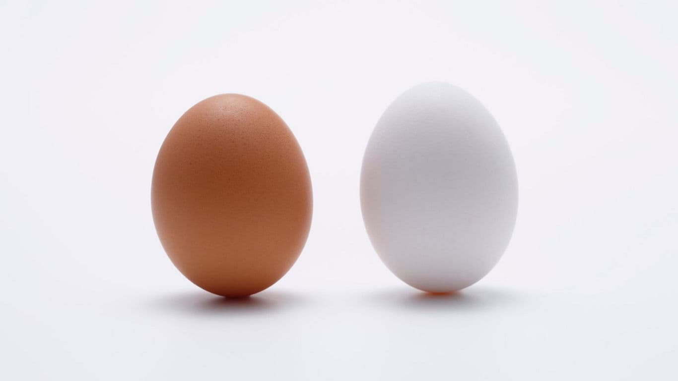 Brown and white eggs on white background