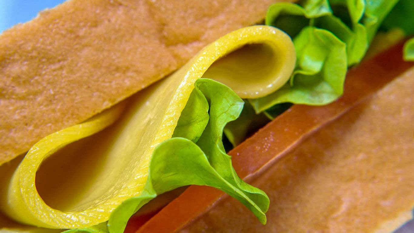 Close-up of fresh cheese and lettuce sandwich