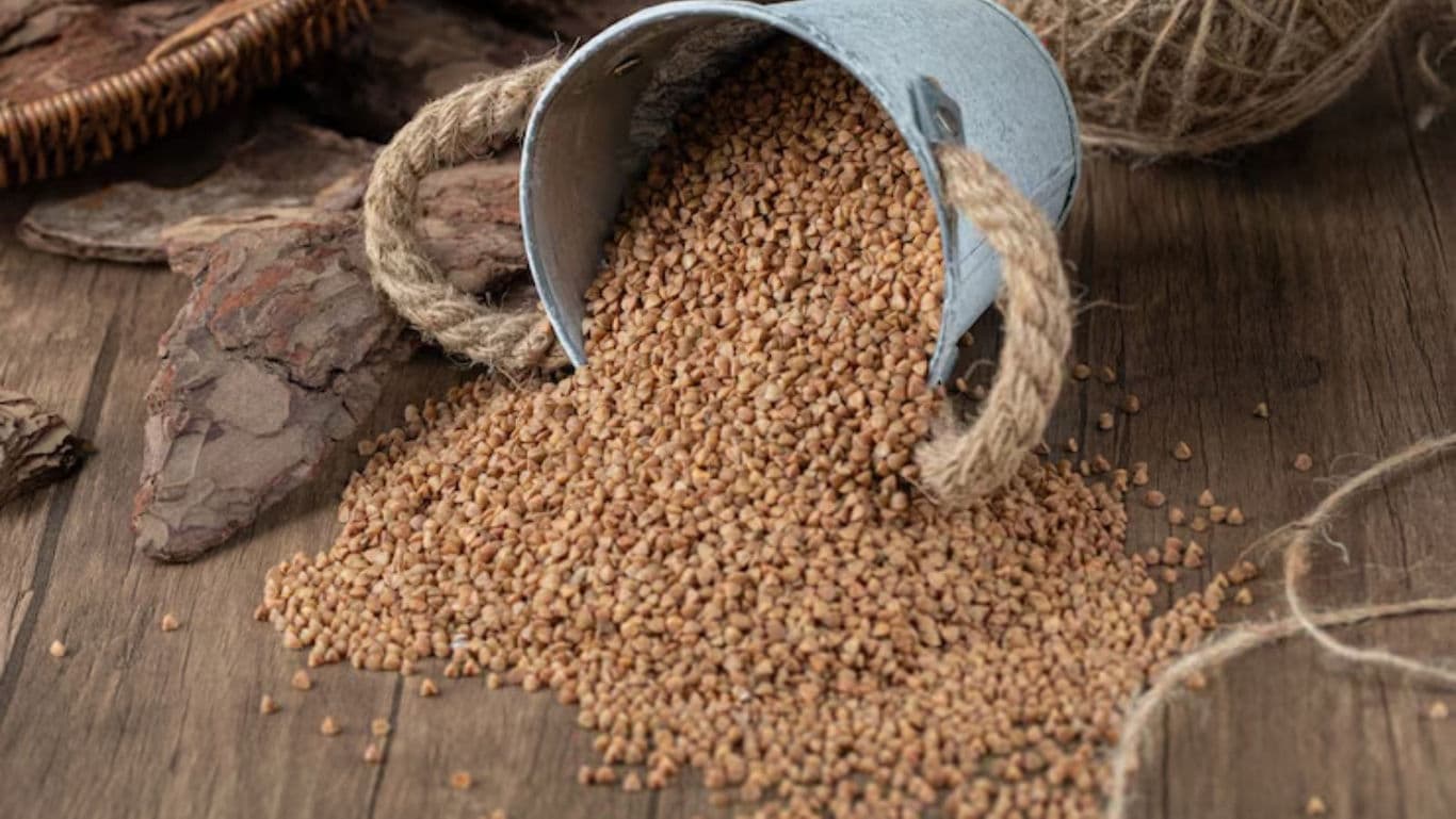 The Forgotten Grain: Khapli Wheat's Journey