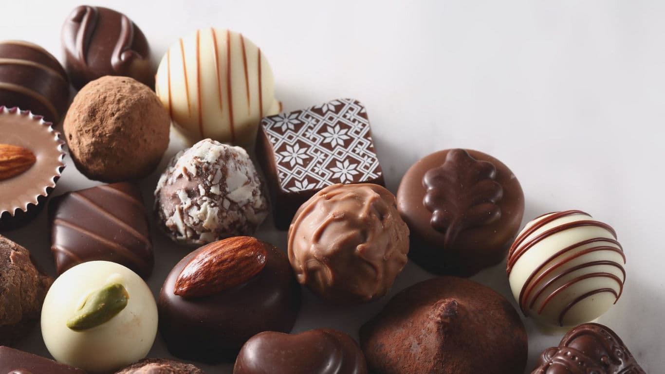 Assorted gourmet chocolate truffles and pralines