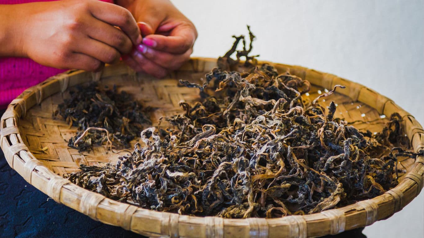 Hands sorting dried herbs in woven basket