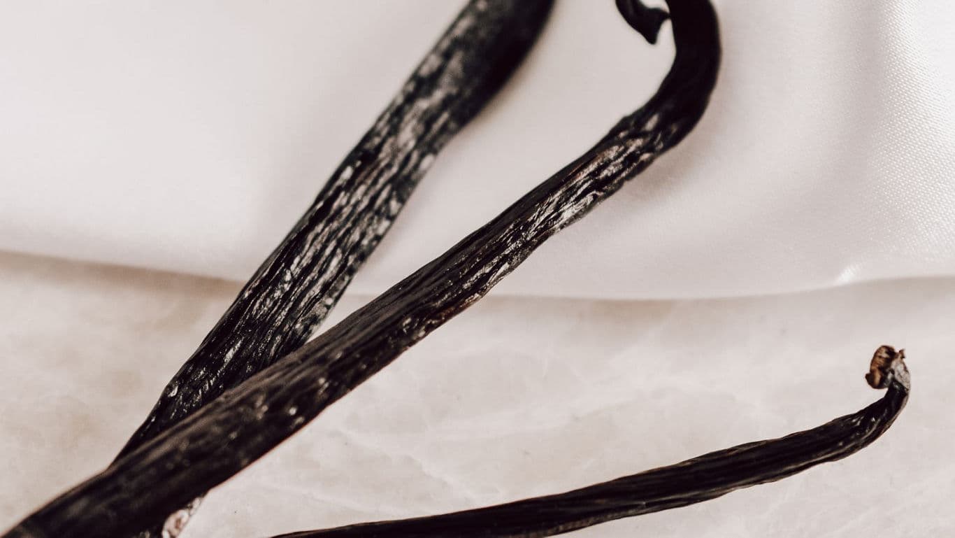 Close-up of dried vanilla beans on white fabric