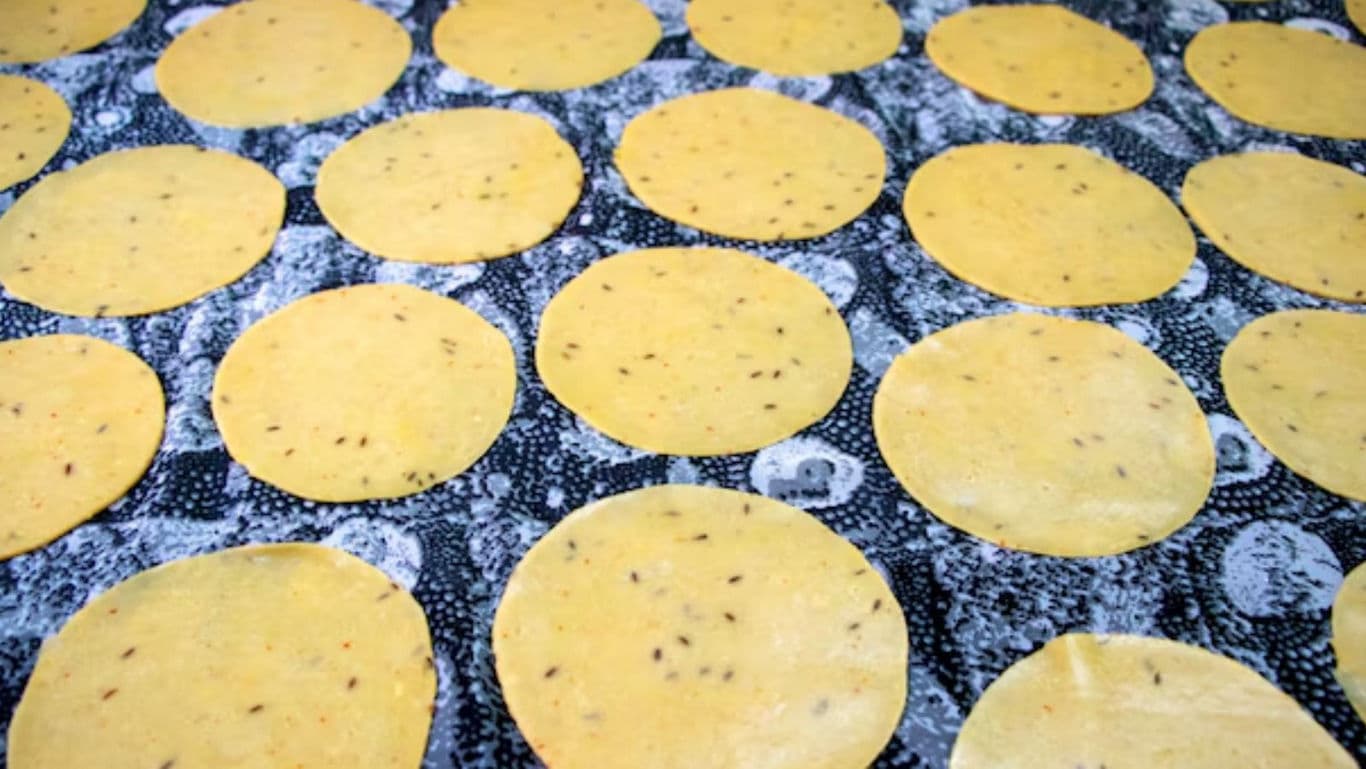 Rows of Fresh Corn Tortillas on Patterned Surface
