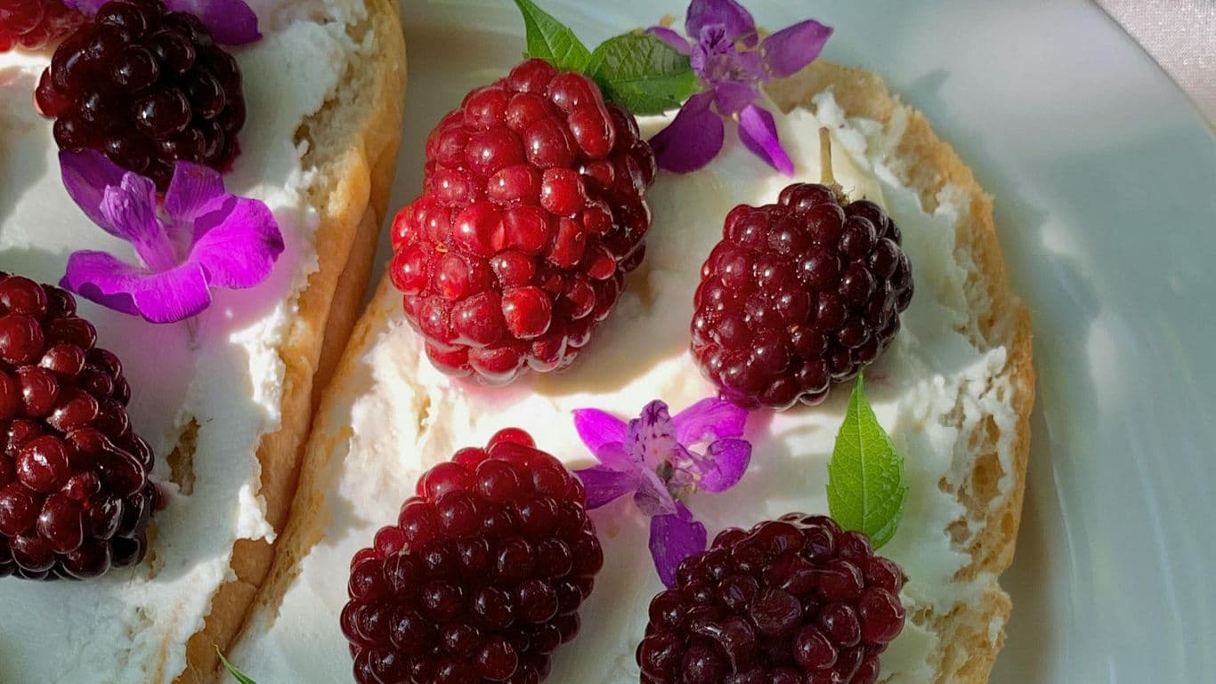 Ricotta Toast Ideas: 5 Toppings For A Gourmet Summer Brunch