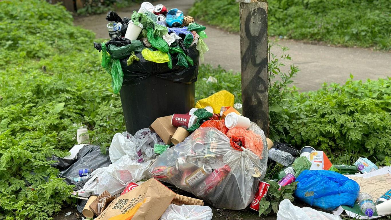 Overflowing trash bin in a park setting