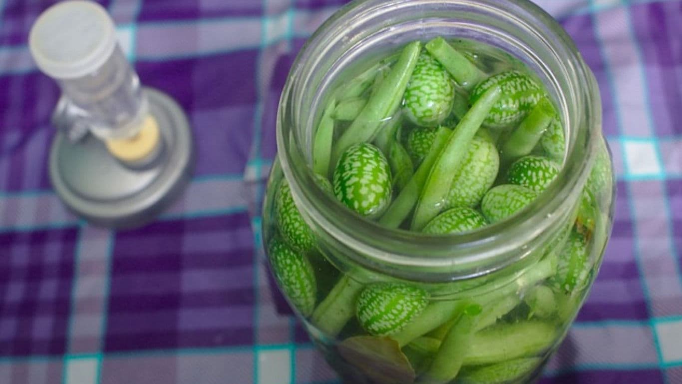 Glass jar of pickled cucamelons on table