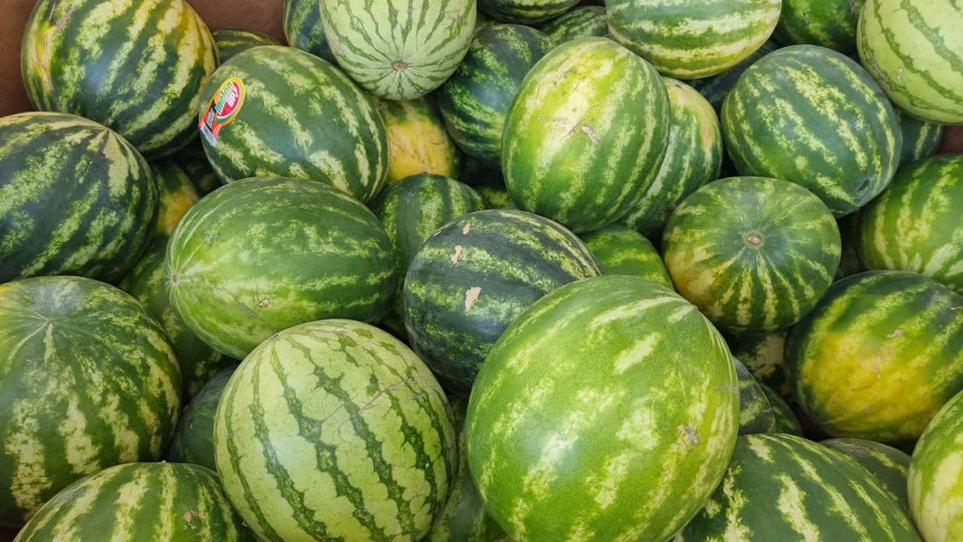 Fresh whole watermelons piled in bulk display