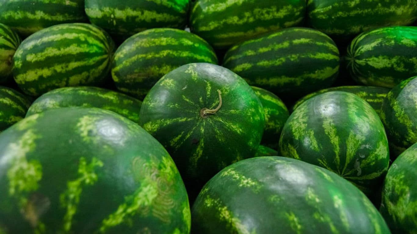 Fresh whole watermelons stacked in bulk display