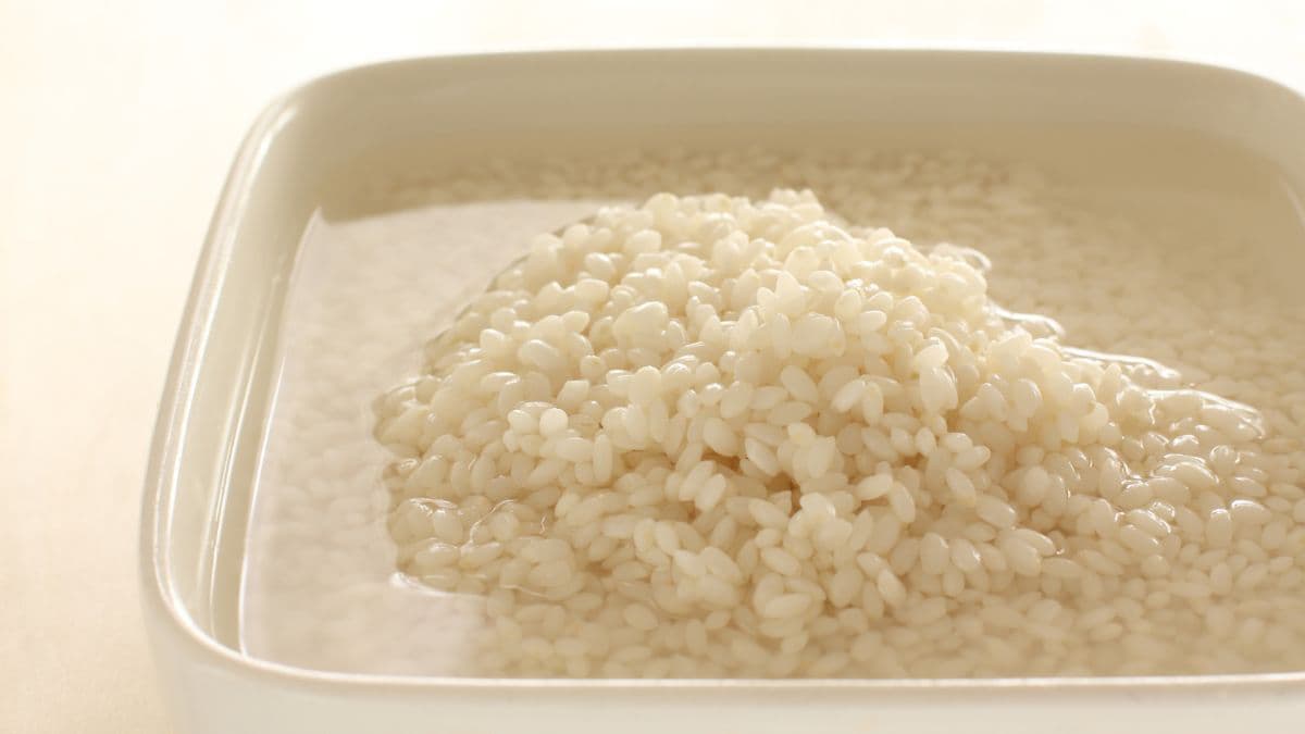 Close-up of soaked rice