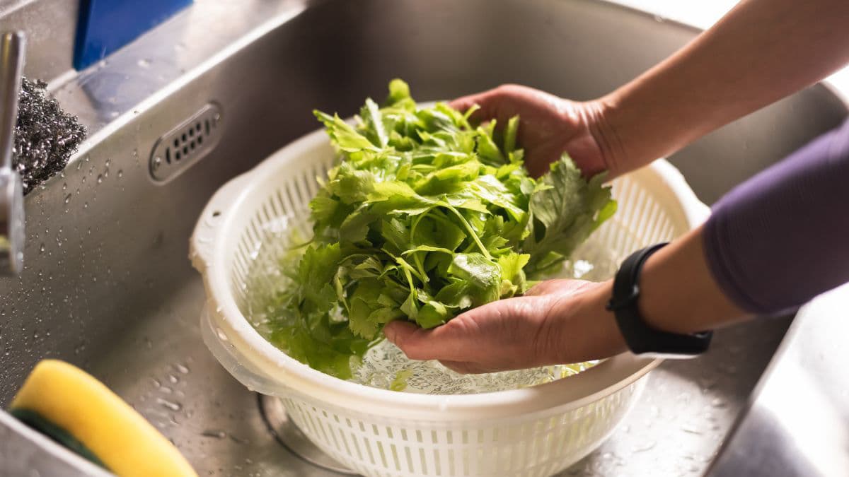 Washing leaves under water