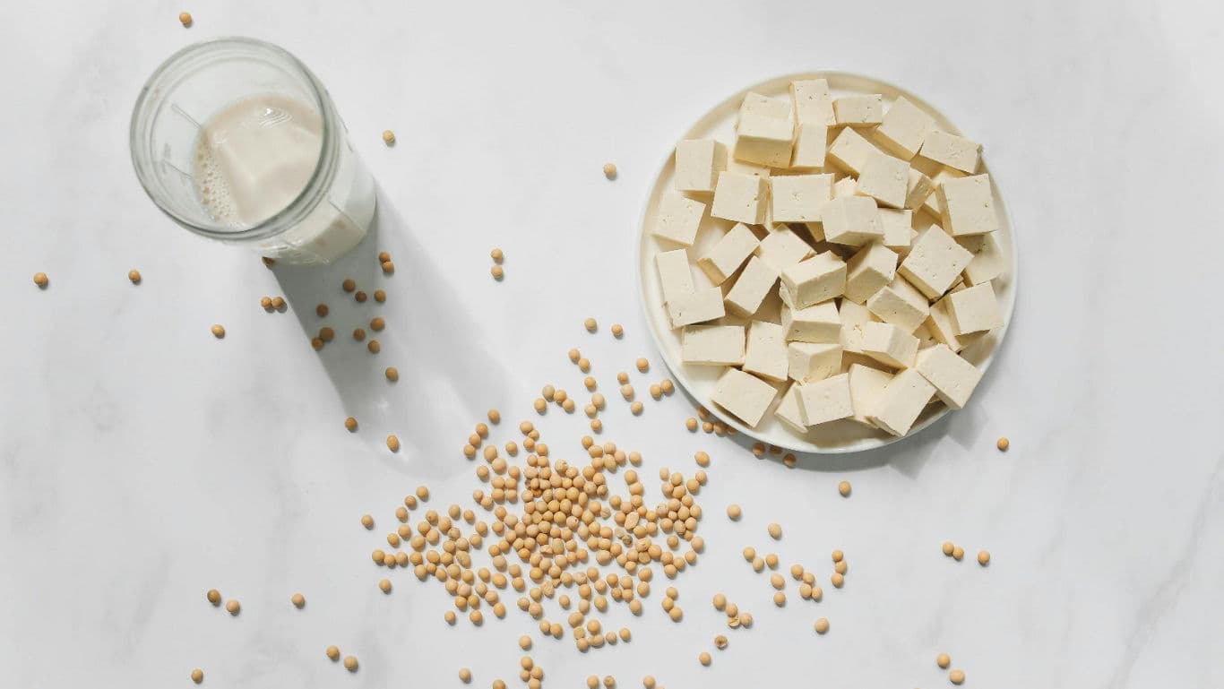Vegan Protein Sources Options