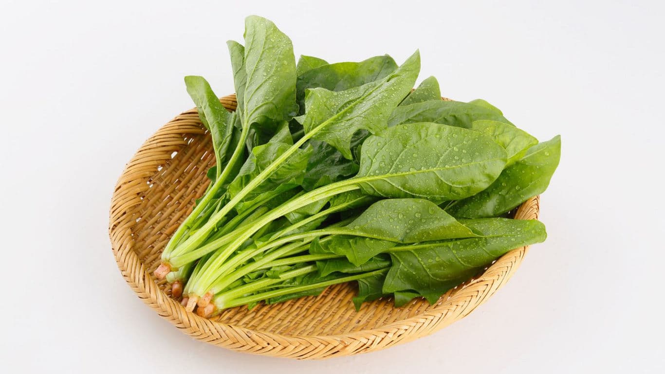 Fresh Spinach Leaves in Woven Basket on White