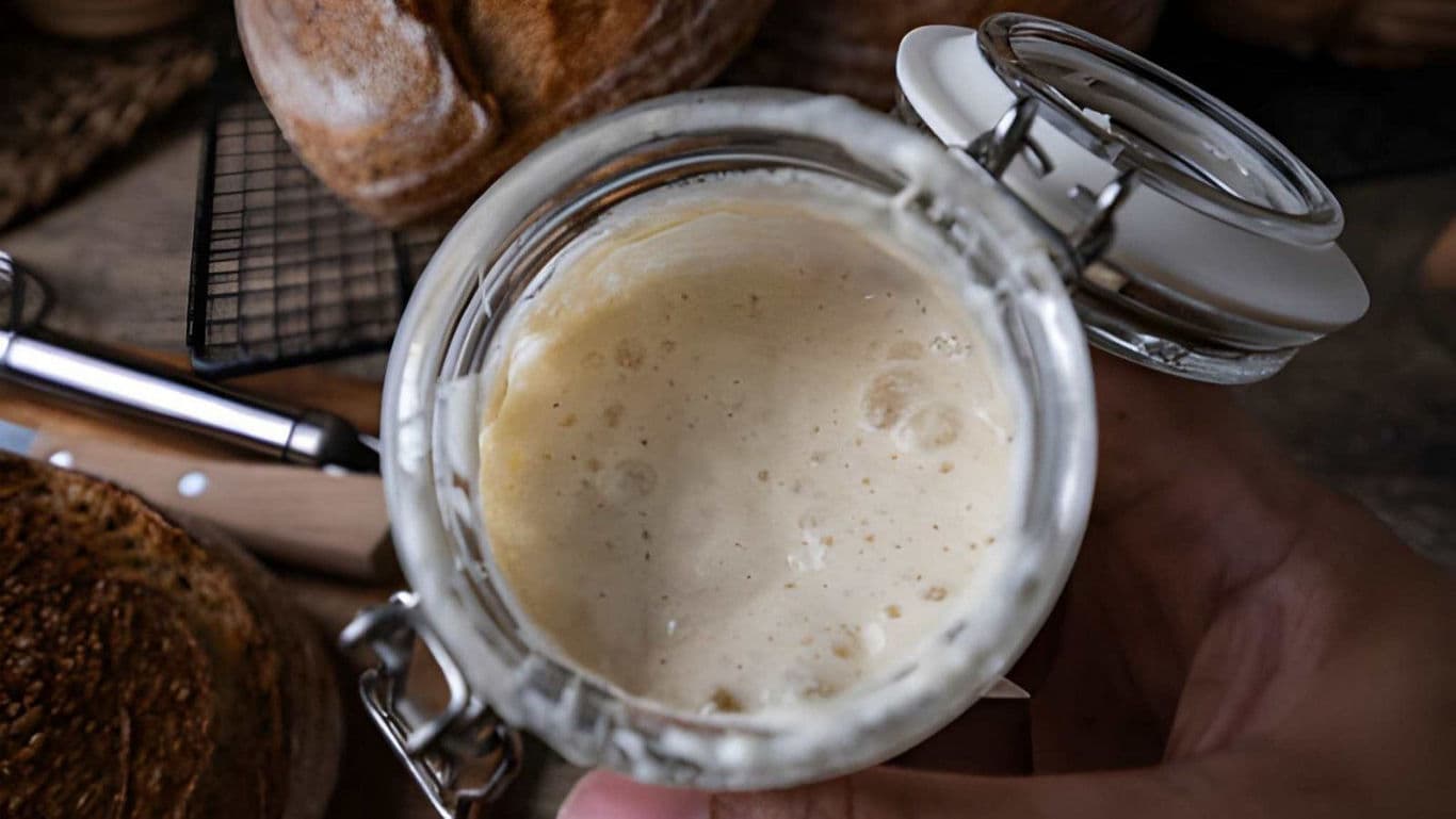 Fresh sourdough starter in glass jar close-up