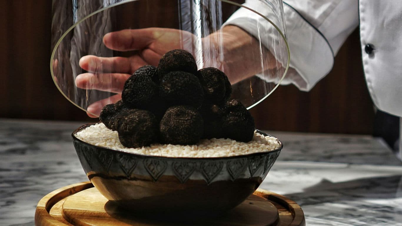 Black truffles displayed in a glass dome
