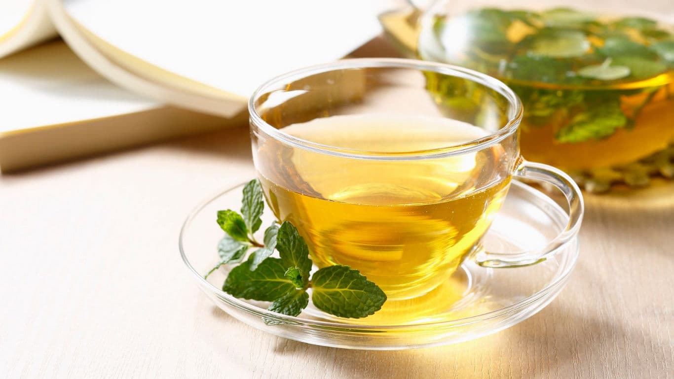 Glass cup of herbal tea with mint