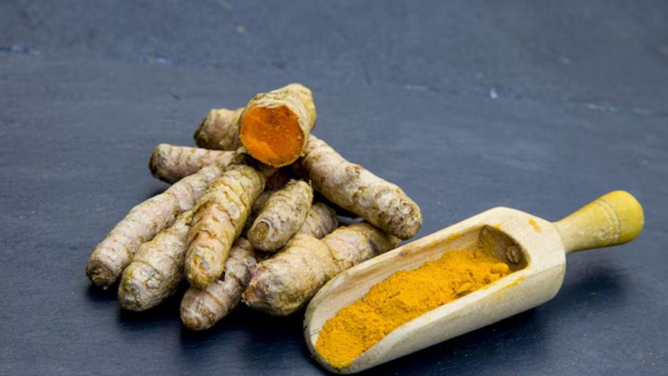 Fresh turmeric roots with powdered spice