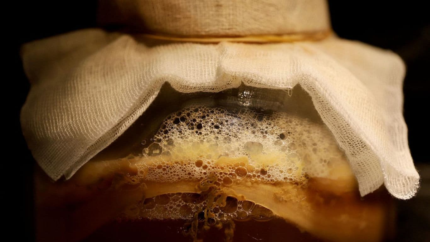 Close-up of fermenting kombucha in jar