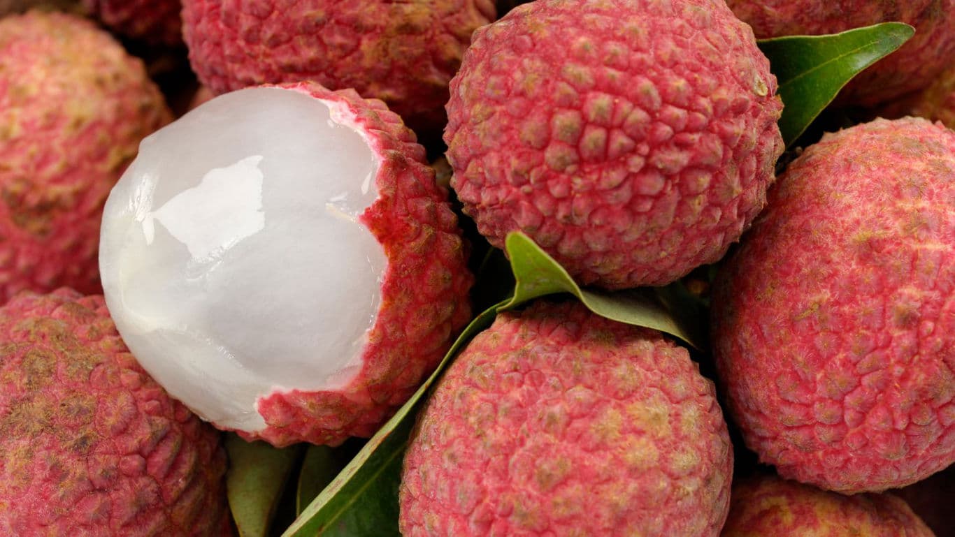 Fresh lychee fruits with peeled segment