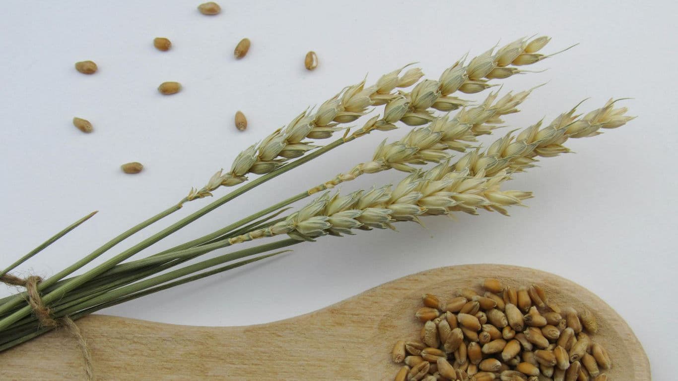 Stone-Ground Vs. Roller-Milled: Why Milling Methods Matter