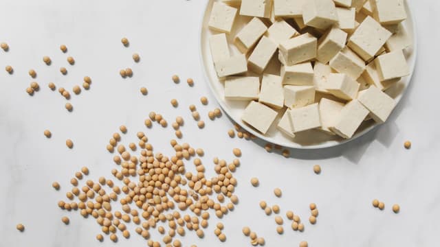 the-great-paneer-replacement-debate-finding-the-best-vegan-alternatives-in-india-thumbnail