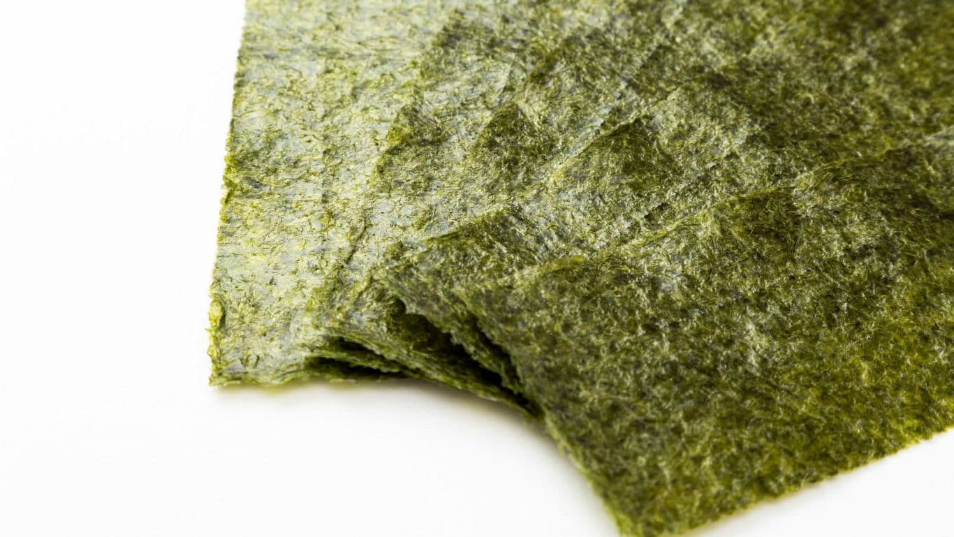 Close-up of dried seaweed snack sheets