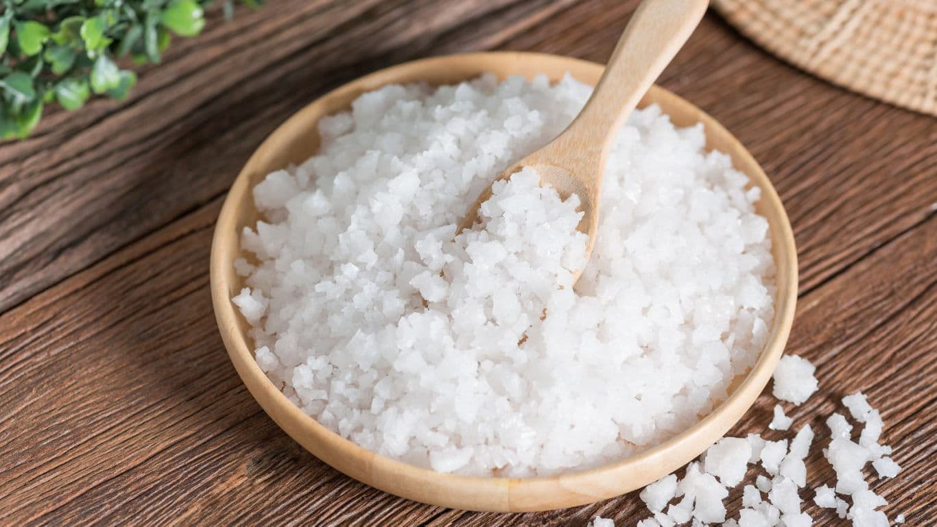 Wooden bowl of coarse sea salt