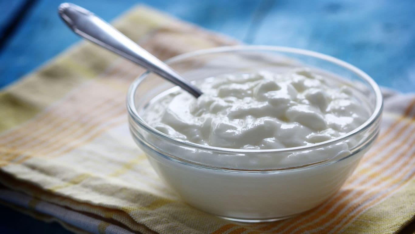 Glass Bowl of Plain Yogurt on Tabletop