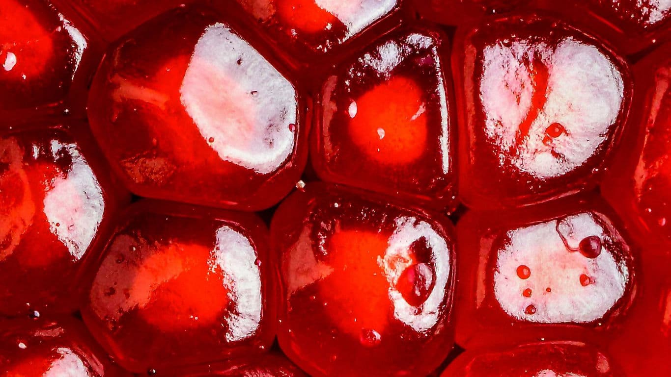 Close-up of red gelatin dessert with glossy texture
