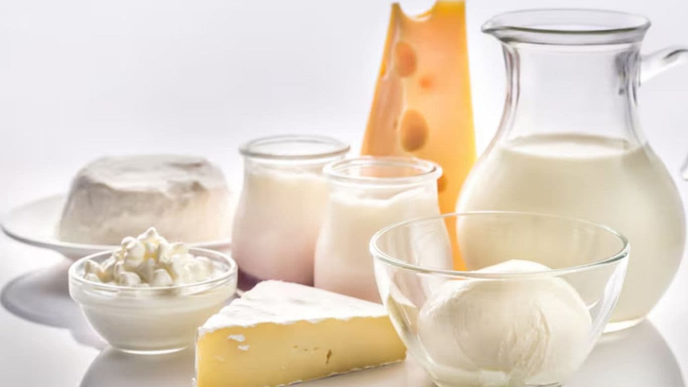 Assorted Dairy Products on White Background