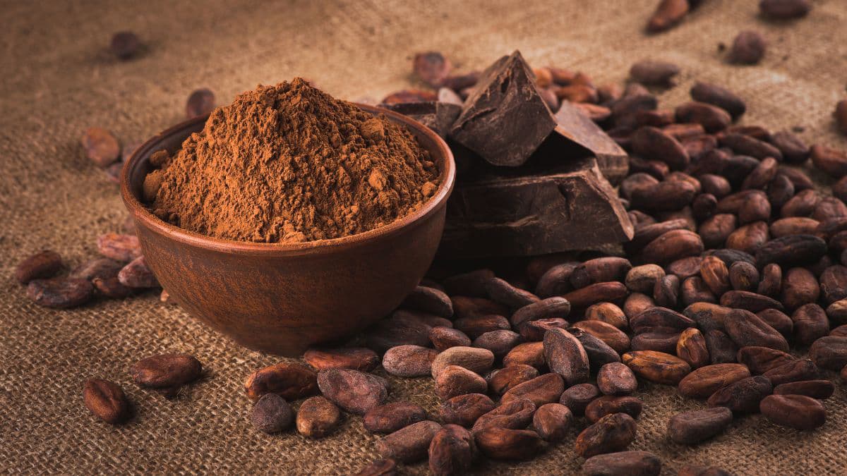 Cocoa powder in a bowl 