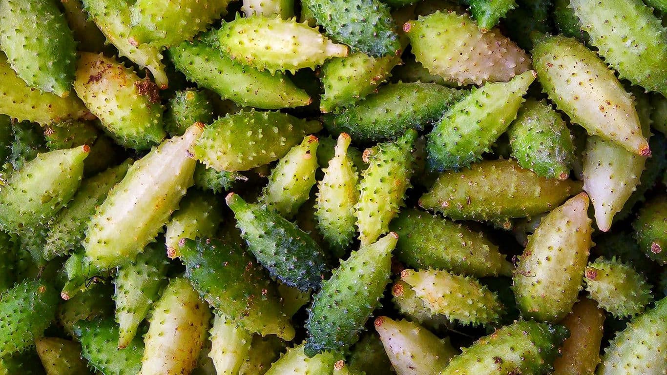 Kantola