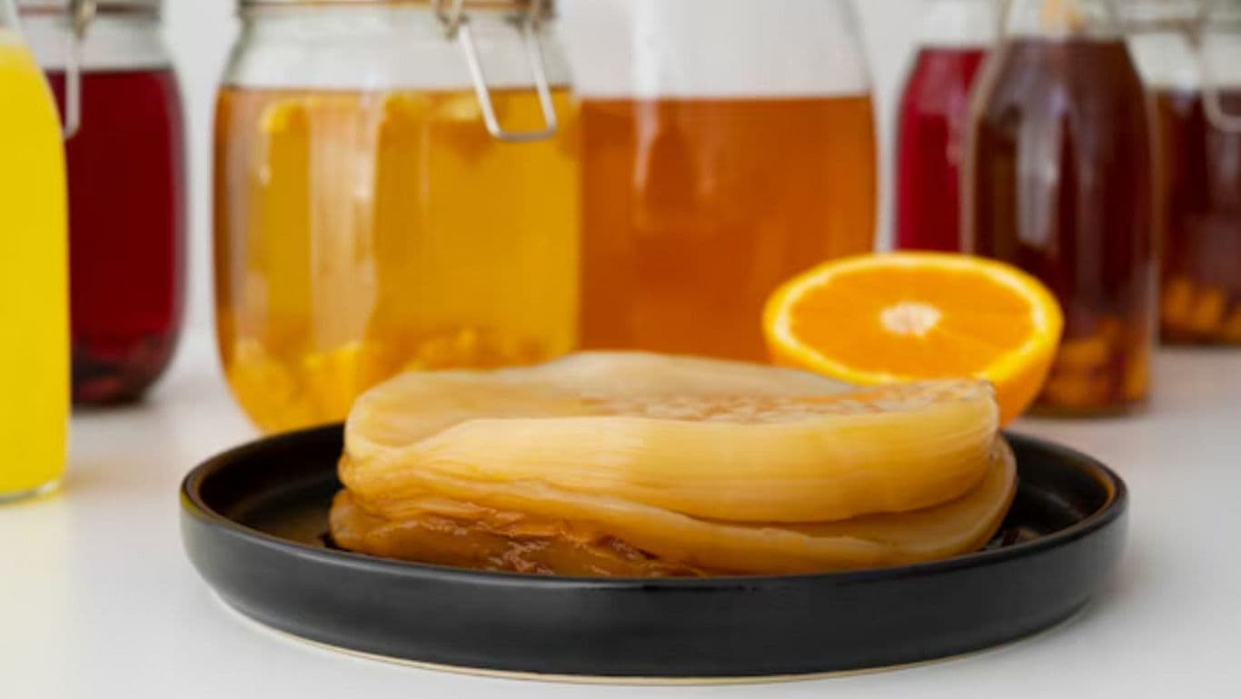 Kombucha Scoby With Fermented Tea Jars and Orange Slice