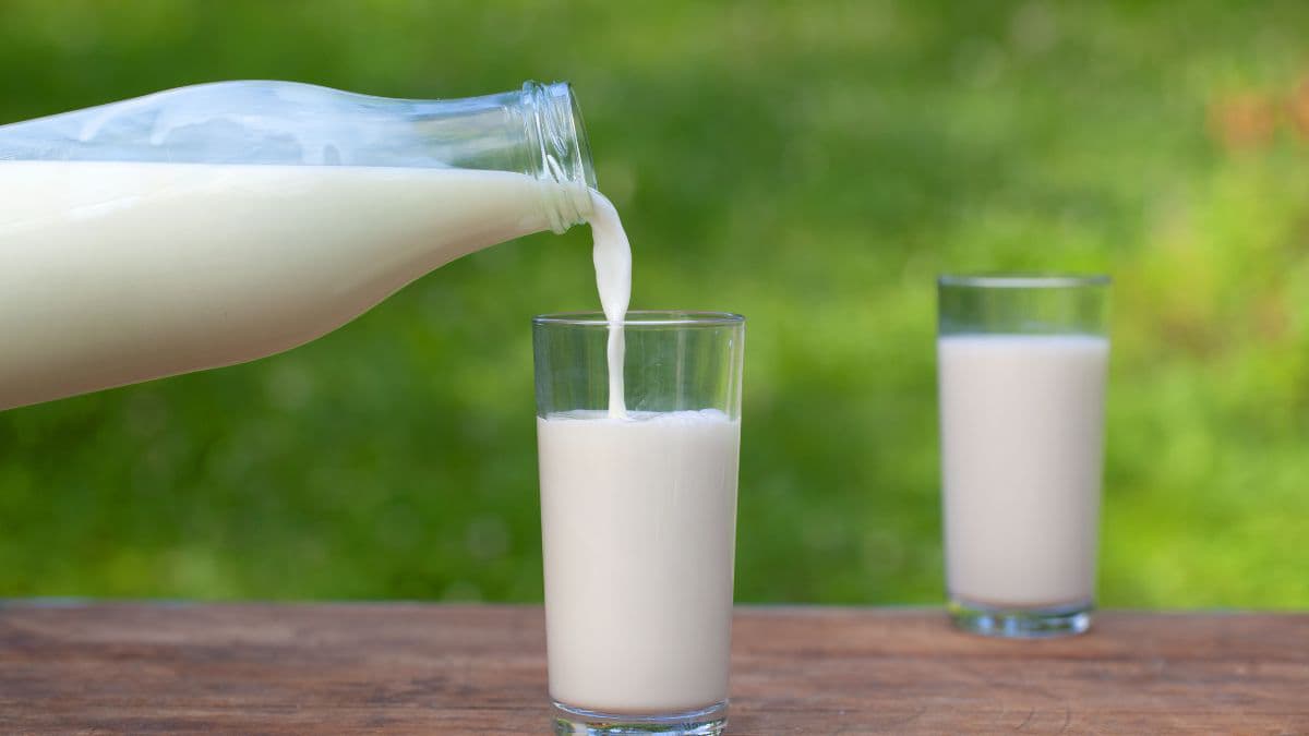 Milk being poured into glasses