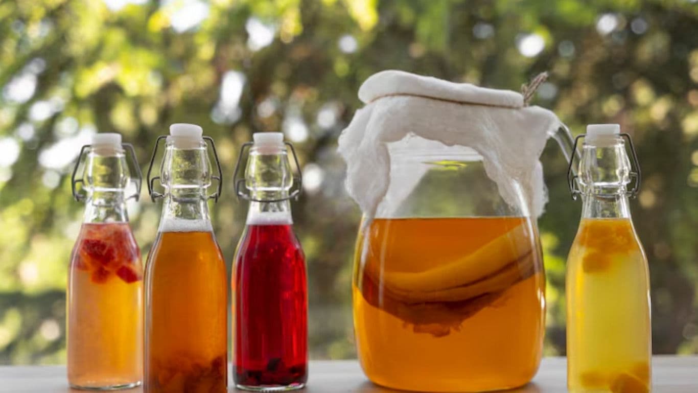 Assorted Homemade Kombucha Bottles on Sunlit Table