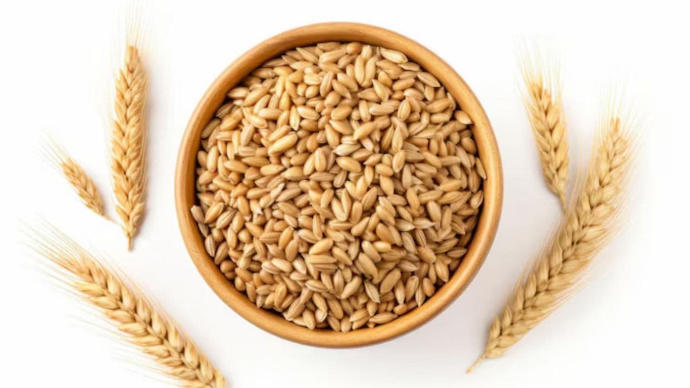 Bowl of Whole Wheat Grains with Wheat Ears