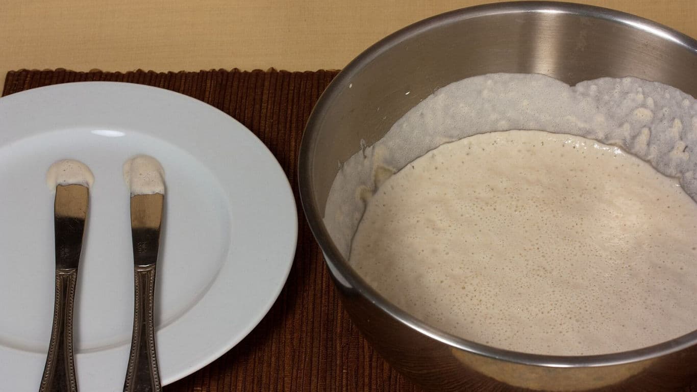Fermented batter in metal bowl with tasting spoons