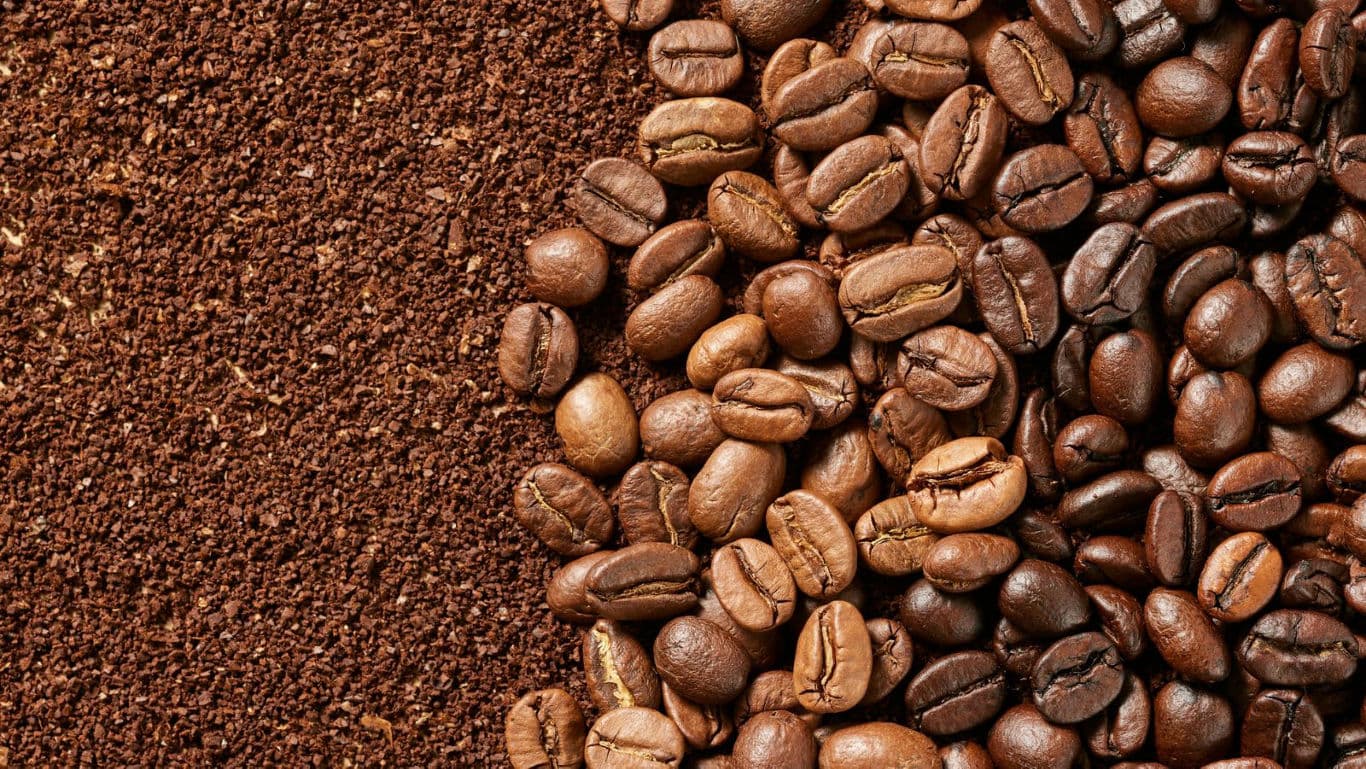 Whole Coffee Beans and Fresh Ground Coffee Closeup