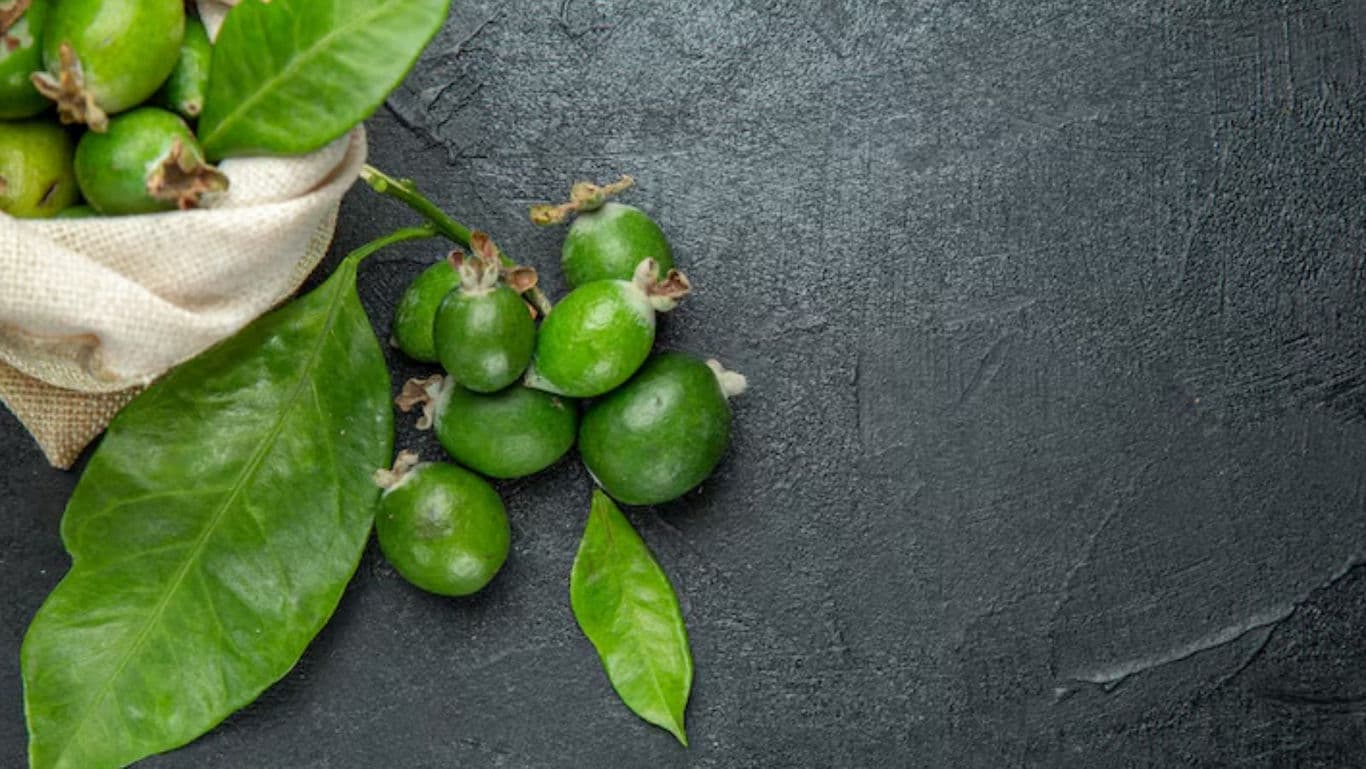 Fresh green betel nuts with leaves on dark background