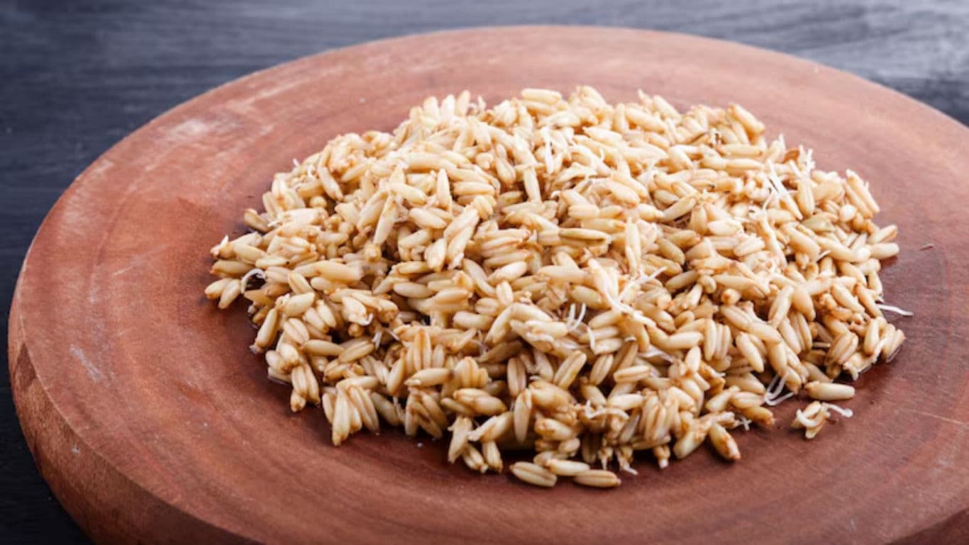 Sprouted brown rice grains on wooden board