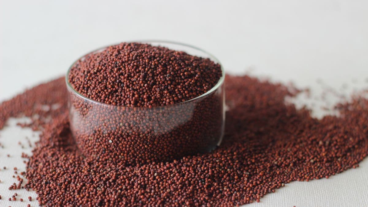 Finger millet in a bowl