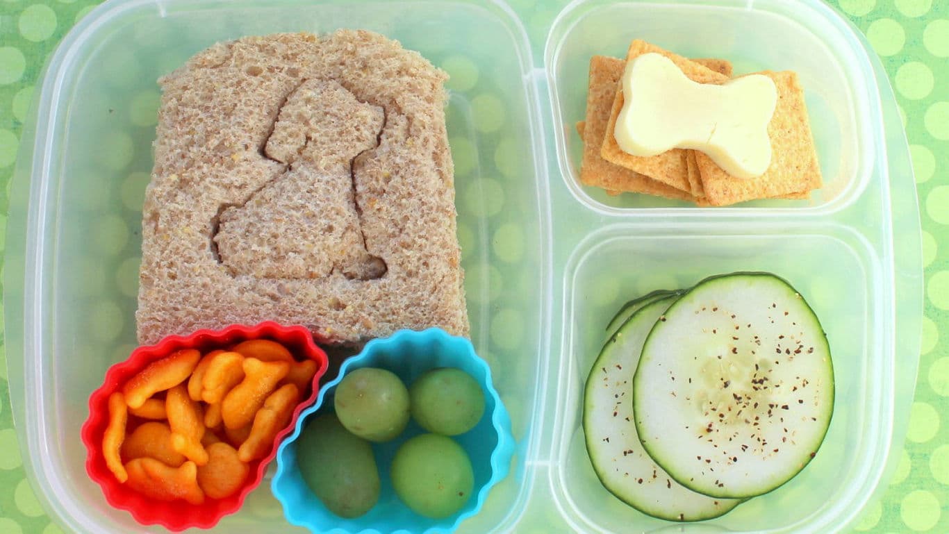 Cute kids lunchbox with shaped sandwich